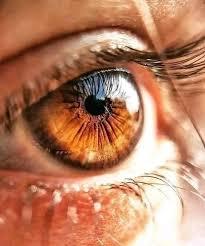 عادات يوميه يمكن ان تحمي بصرك وتعزز صحة عينيك